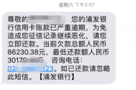 咸宁咸宁的要账公司在催收过程中的策略和技巧有哪些？